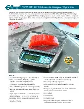 edlund-brv-160w-scale-portion-digital-specsheet-250813px64yu.pdf